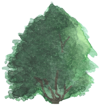 Tree with thick round branches is painted by hands with watercolor in real fine art style png