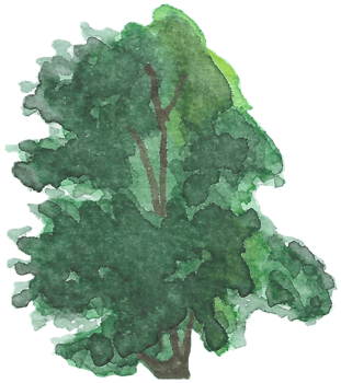 Tree with random branches is painted by hands with watercolor in real fine art style png