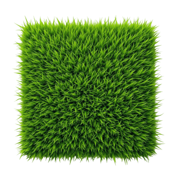 A Square patch of vibrant green grass on transparent background png