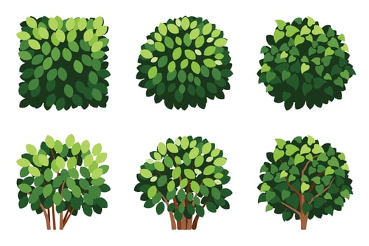 Cartoon Tree Set and Bushes vector