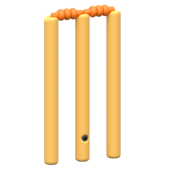 3D Cricket Wicket Icon png