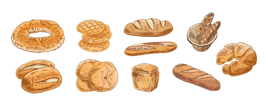 Hand drawn vintage sketch of assorted bakery bread set in brown ink and pastel color, isolated illustration vector