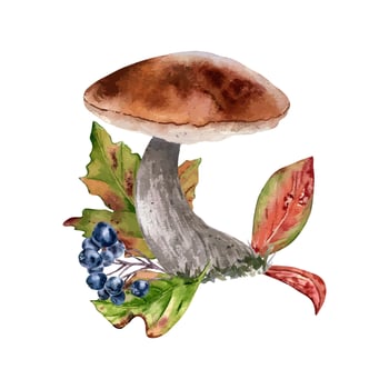 Watercolor autumn composition with mushroom of brown cap, red leaves and black chokeberry isolated on white. Rowan berry branch with bolete hand drawn. Fall illustration forest plants botanical art. vector