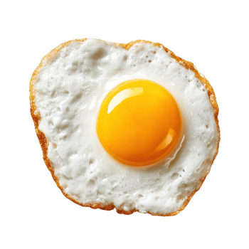 Delicious fried egg isolated breakfast food cooking ingredient closeup on transparent background png