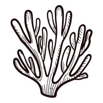Hand drawn coral branch illustration isolated on white background vintage marine botanic engraved sketch vector