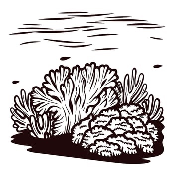 Detailed illustration of underwater coral reef with seaweed and aquatic plants in vintage engraved vector