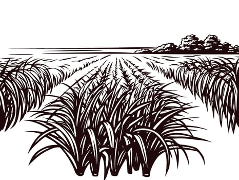 Hand drawn sugarcane field landscape with furrowed rows and distant trees in vintage engraved vector
