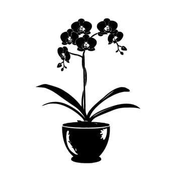 Black silhouette of a potted orchid Phalaenopsis plant with detailed flowers and leaves. Minimalist design on a plain white background, concept of nature vector