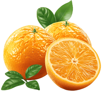 Two whole oranges one sliced orange with green leaves png