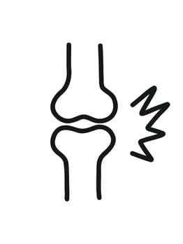 knee joint anatomy, illustration for orthopedics topic vector
