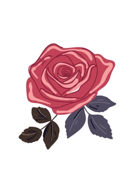 Red rose illustration for love and passion themes vector
