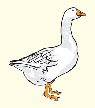 Cute Cartoon Goose Illustration vector