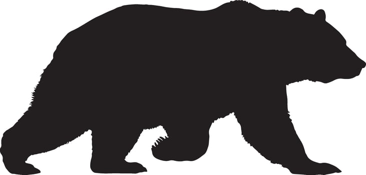 Walking Bear Silhouette Grizzly Animal Design vector