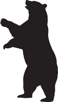 Wild Bear Silhouette Forest Animal vector