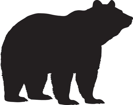 Realistic Bear Silhouette Illustration vector