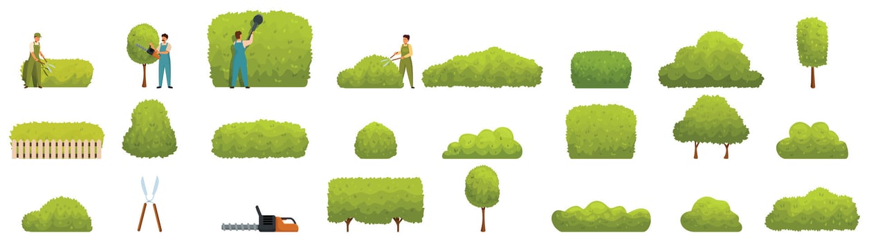 Garden hedge icons set. Gardeners trimming bushes and different types of green shrubs vector
