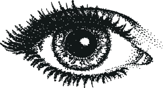 Eye Clip Art Illustration Isolated on White vector