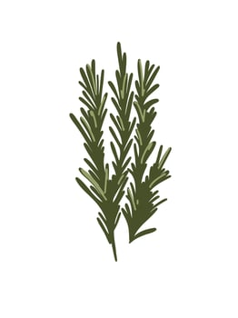 artoon set of spicy herbs vector