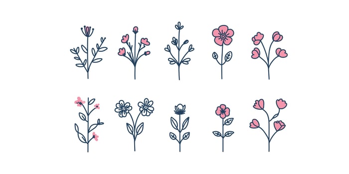 art botanical elements vector