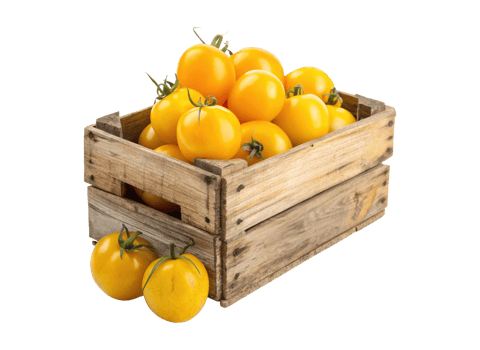 Fresh yellow tomatoes in an old wooden crate isolated on a transparent background food design png