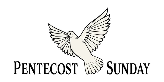 Illustration of a white dove with spread wings symbolizing the Holy Spirit, accompanied by the text Pentecost Sunday. Ideal for church events, religious posters, or Pentecost celebrations vector