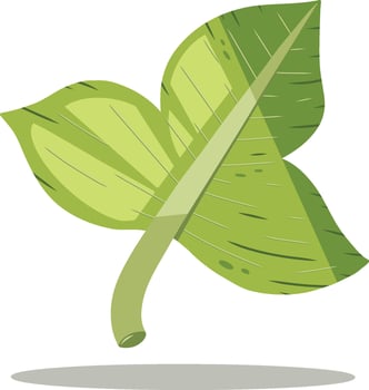 Simple green leaf clover design illustration vector