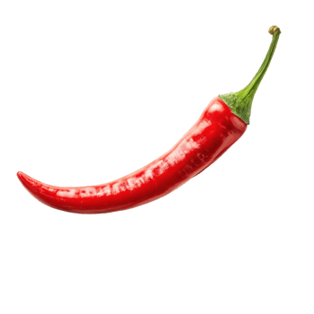 Isolated red chili pepper close up spicy food ingredient cooking spice hot on transparent background png