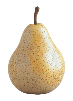 Single Pear Fruit with Speckles on a Transparent Background Image png