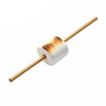 Marshmallow on a Wooden Skewer with Toasted Surface Isolated on Transparent Background png