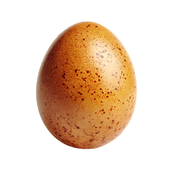 Brown Speckled Chicken Egg Isolated on Transparent Background Perfect Detail png
