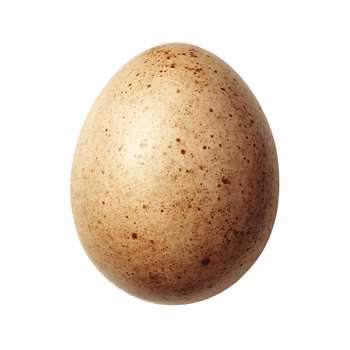 Speckled Egg Isolated on Transparent Background Natural Bird Food Ingredient Raw Delicious png