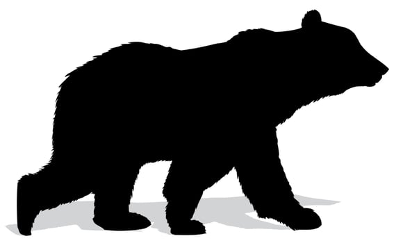 Silhouette of bear. vector