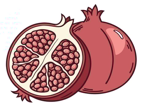 Illustration of a Whole and a Halved Pomegranate Fruit on a White Background vector