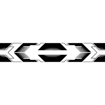 Abstract Geometric Border in Black White Modern Style vector