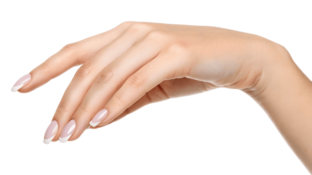 Elegant Hand with French Manicure with No Background png