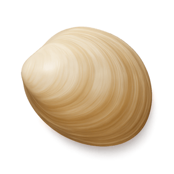 Delicate 3D Clam Shell Render with Smooth Surface and Simple Design png