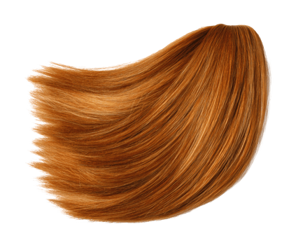 Hair styling concept for salon design and beauty branding png