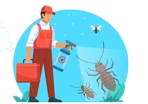 Employees spraying insecticide for termites, ants and cockroaches vector
