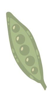 Green pea pod featuring vibrant peas nestled inside, illustrated in a simple, playful style. Isolated on a clean white background, capturing the essence of fresh, healthy vegetables vector
