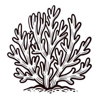 Hand drawn branching coral illustration in vintage engraving isolated on white background vector