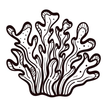 Hand drawn coral illustration isolated on white background vintage marine botanical sketch with wavy branches vector