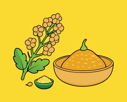 A colorful illustration depicting mustard seed preparation including plant flowers and spice vector