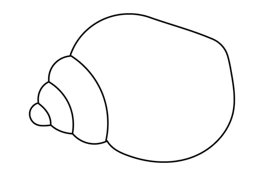 Simple outline of a seashell on white background. vector