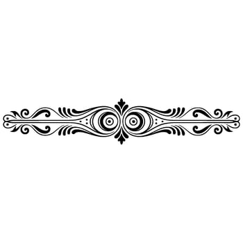 Elegant Decorative Black and White Scroll Border vector