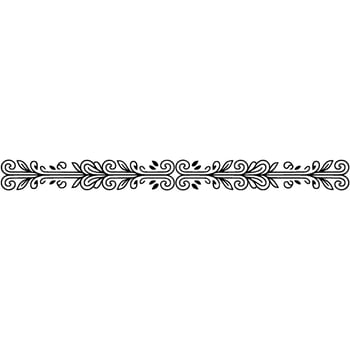 Elegant Floral Border Decorative Linear on White vector