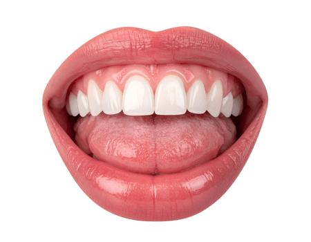 realistic open mouth with white teeth and visible tongue, healthy lips and dental anatomy, on isolated background png