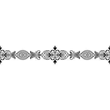 Elegant Black and White Floral Border , Minimalist Ornament vector