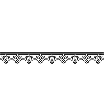 Elegant Ornament Detailed Black Line Border on Neutral Background vector