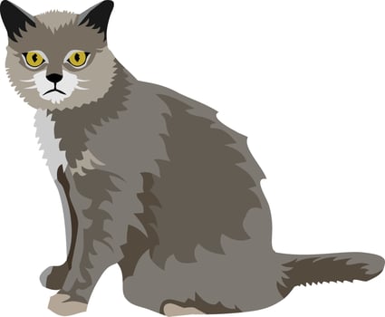 Cat Mammal Animal vector