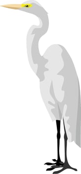 Crane Bird Animal vector